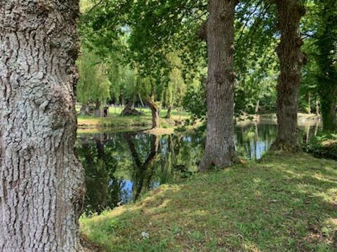 a park with trees and a body of water at La demeure romantique in Bazouges-sous-Hédé