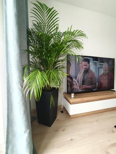 Μια τηλεόραση ή/και κέντρο ψυχαγωγίας στο Apartament Number 2 NOVA WOZOWNIA Free Parking