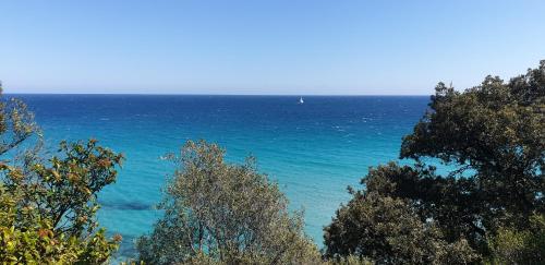 een uitzicht op de oceaan met bomen op de voorgrond bij Auberge de Cannedda in Sari Solenzara