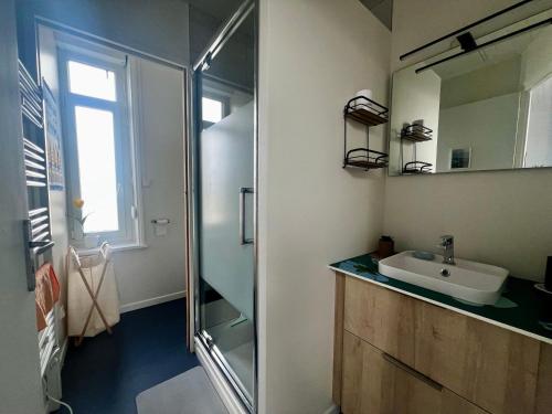 une salle de bain avec un lavabo et une douche en verre dans l'établissement Le Santaline, à Wimereux