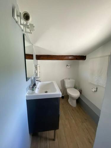 une salle de bain avec un lavabo et des toilettes dans l'établissement Charmant moulin en pierre, à Saint-Pierre-de-Vassols