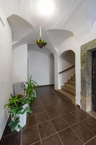 a hallway with stairs and plants in a building at Ubytování v centru in Lanškroun