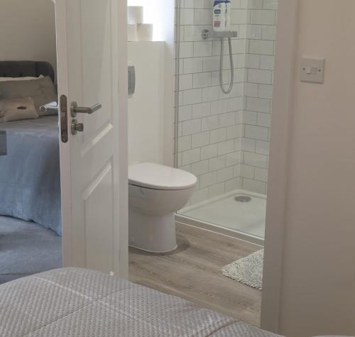 a bathroom with a toilet and a shower at Contemporary Double Ensuite Room in Birmingham