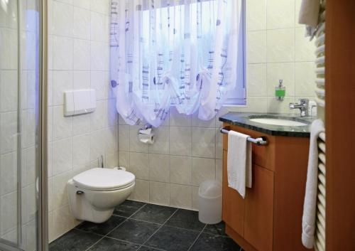 a bathroom with a toilet and a sink at Hotel Gasthof Am Forsthof in Sulzbach-Rosenberg