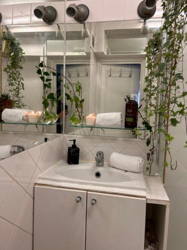 ein Badezimmer mit einem weißen Waschbecken und einem Spiegel in der Unterkunft richmond park top floor in London