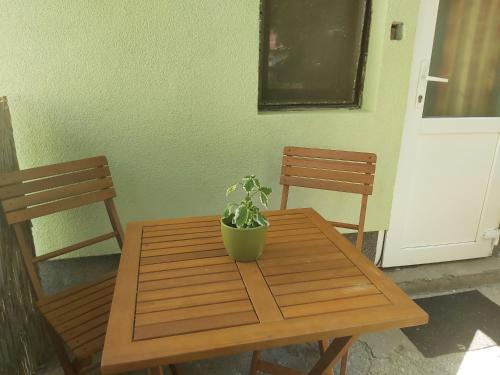 a potted plant sitting on a wooden table with two chairs at Life water small house in Budapest