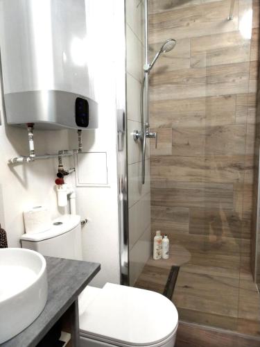 une salle de bain avec une douche avec des toilettes et un lavabo dans l'établissement Le Palais -Idéal Couple- Terrasse Hypercentre, à Pau