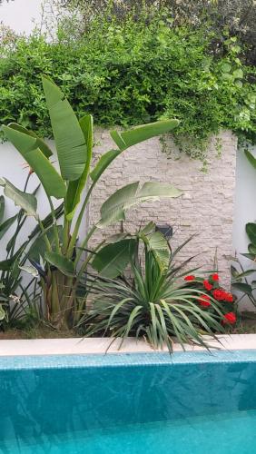 una piscina con piante e fiori accanto a un muro di mattoni di Belle maison à proximité de la mer a La Marsa