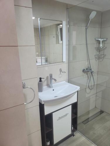 a bathroom with a sink and a shower at Gabi's Home #3 in Sighişoara
