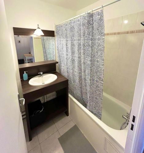 une salle de bain avec un lavabo et une douche dans l'établissement Disneyland Appart Rêve enfant, à Montévrain