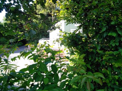 a view of a street through the leaves of trees at Ferienhaus in Bad Marienberg Westerwald mit Terrasse und Grill in Bad Marienberg