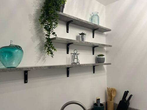 a kitchen with shelves on the wall with plants at The Boardroom in Hathern