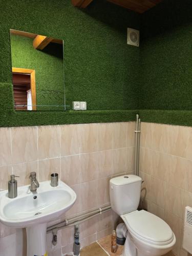 een groene badkamer met een toilet en een wastafel bij Добрий Хутор in Sukhyy Lyman