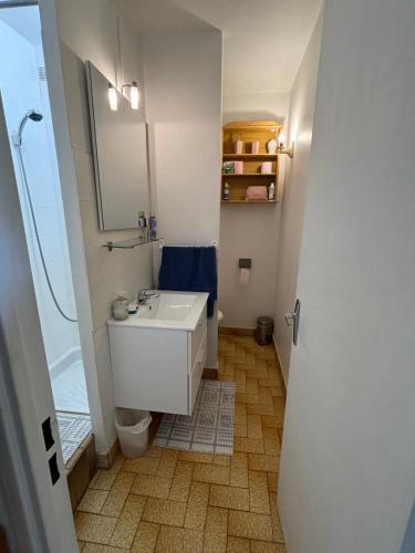 a bathroom with a white sink and a mirror at Appartement T2 tout équipé in Port Leucate