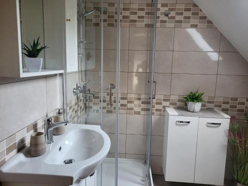 a bathroom with a sink and a glass shower at Apartma Jurka in Podčetrtek