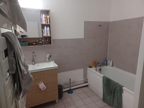 une salle de bain avec une baignoire et un lavabo et une baignoire dans l'établissement Appartement proche Paris, à Le Pré-Saint-Gervais