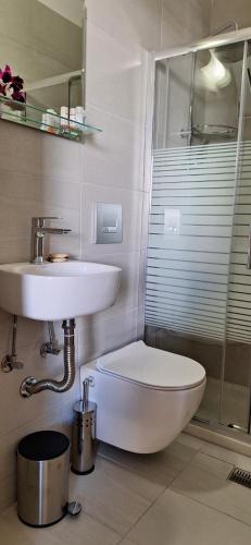 a bathroom with a toilet and a sink at Nicolas Studios & Apartments in Agia Marina Nea Kydonias