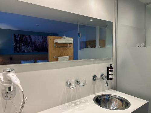 een badkamer met een wastafel en een spiegel bij Villavelo Twente in Ootmarsum