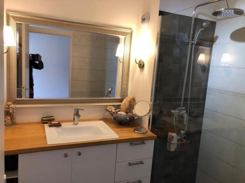 une salle de bain avec un lavabo et une douche avec un miroir dans l'établissement Toulon - CAP BRUN - T3 rez de jardin, à Toulon