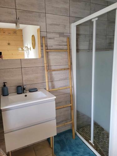 une salle de bain avec un lavabo et une douche dans l'établissement les marmottes, à Gérardmer