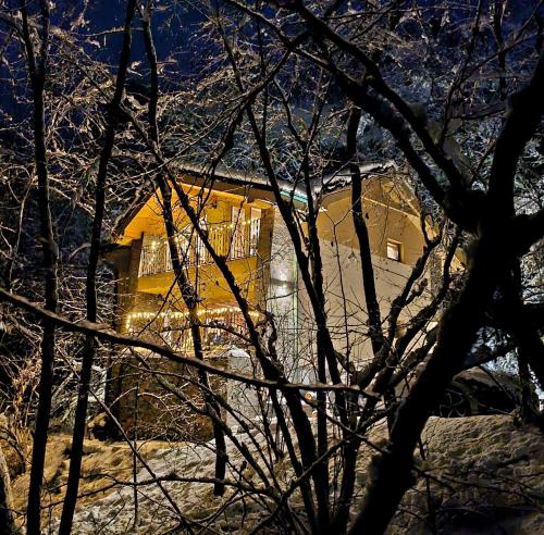 ein Haus wird durch die Äste eines Baumes gesehen in der Unterkunft Chalet Robinson in Modra