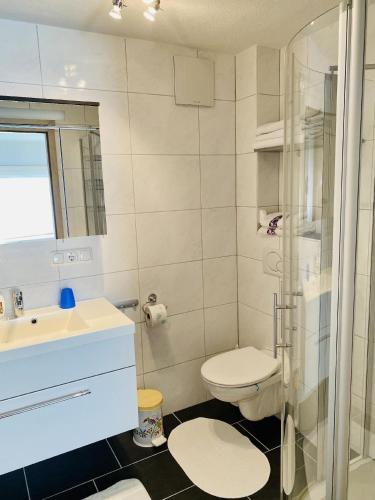 a bathroom with a toilet and a sink and a shower at Gemütliches Appartement in Pflach in Pflach