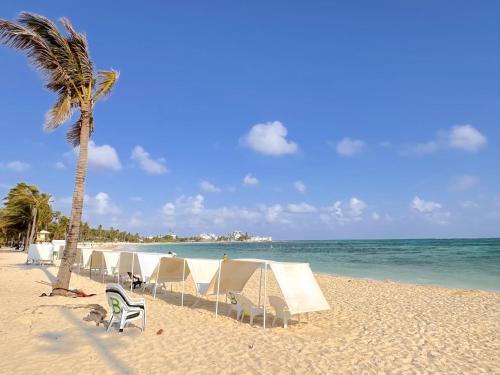a beach with chairs and a palm tree and the ocean at Hotel Grand Caribe in San Andrés