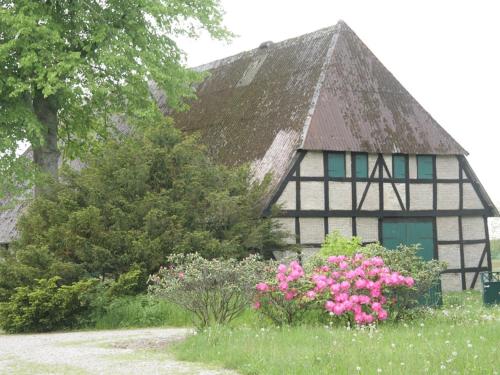 a black and white house with pink flowers in front of it at Oase Friedensthal in Friedenstal