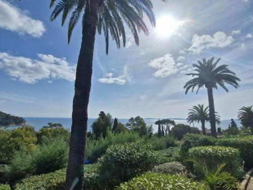 T2 avec piscine, parking, terrasse et vue mer au Rayol-Canadel-sur-Mer - FR-1-100-331