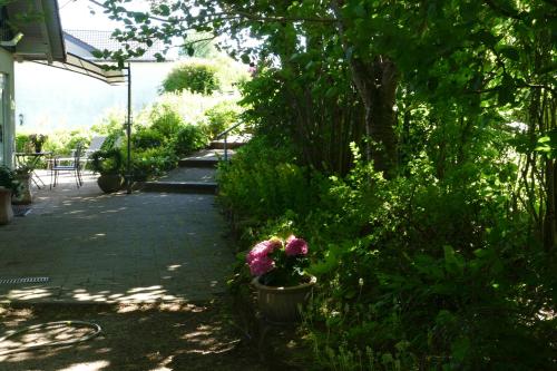 a garden with flowers in a pot on a sidewalk at Landleben - Ferienhaus 2 in Fritzlar