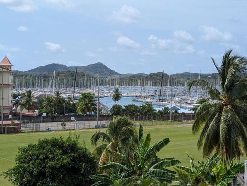 a view of a harbor with boats in the water at Studio TI PLEZI 26m a 2 pas Marina du Marin climatisé parking in Le Marin