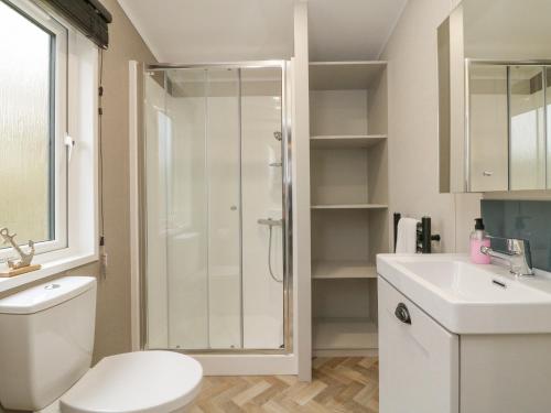a bathroom with a shower and a toilet and a sink at 18 Manleigh Park in Ilfracombe