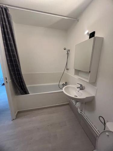 a bathroom with a sink and a bath tub at Appartement 1 pièce Strasbourg in Schiltigheim