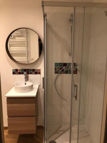 une salle de bain avec douche et lavabo dans l'établissement La cabane du bonheur, à Aix-les-Bains