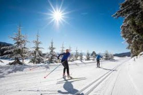 zwei Menschen Langlaufen im Schnee in der Unterkunft La cabane du bonheur in Aix-les-Bains