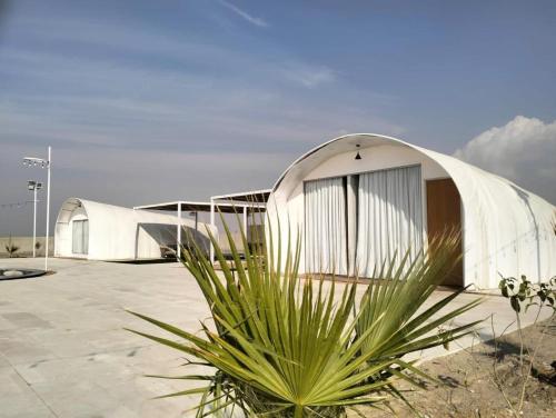 un edificio en forma de cúpula blanca con una planta delante en Desert Breeze, en Al Ḩamrānīyah