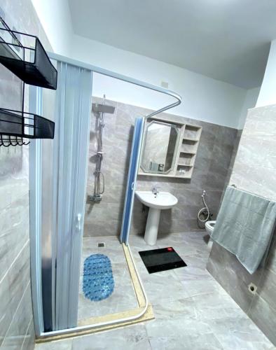 La salle de bains est pourvue d'une douche, d'un lavabo et d'un miroir. dans l'établissement Aloha Maadi, au Caire