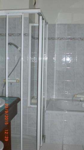 a bathroom with a shower and a tub and a sink at Auberge De L'Atre in Quarré-les-Tombes