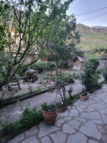 a garden with trees and plants on a patio at Cosy House in Konitsa