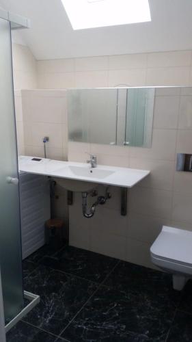 ein Bad mit einem Waschbecken und einem WC in der Unterkunft Studio für 4 Personen ca 60 qm in Gozd, Krain Innerkrain in Gozd