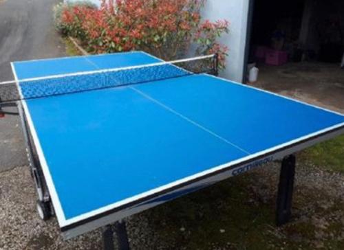 a blue ping pong table in front of a house at Longère de charme in Saint-Cyran-du-Jambot