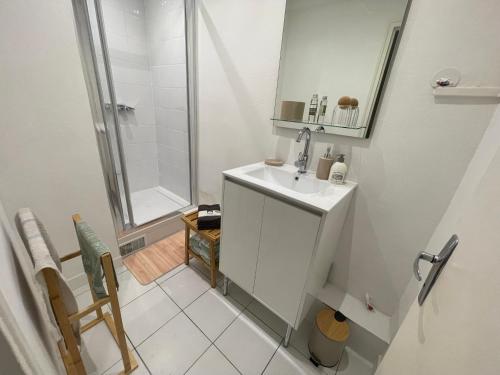 La petite salle de bains est pourvue d'un lavabo et d'une douche. dans l'établissement Studio PARIS-Disneyland-JO2024, à Roissy-en-Brie