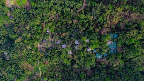 an overhead view of a forest from above at The Hive, Wayanad in Wayanad