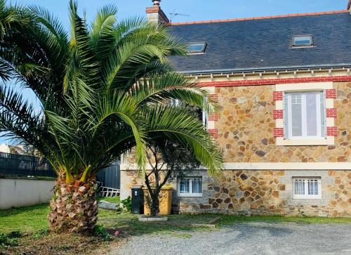 a palm tree in front of a stone house at Petite Maison Cosy en Baie in Hillion