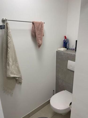 bagno con servizi igienici e asciugamani appesi a una parete di Gemütliche Wohnung im Ortskern a Eichendorf