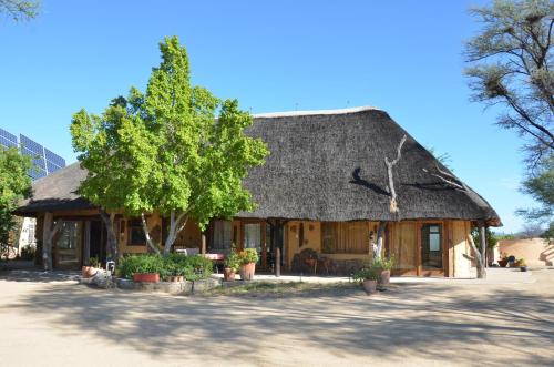 une maison avec un toit de chaume et un arbre dans l'établissement Camp Mara, à Omaruru