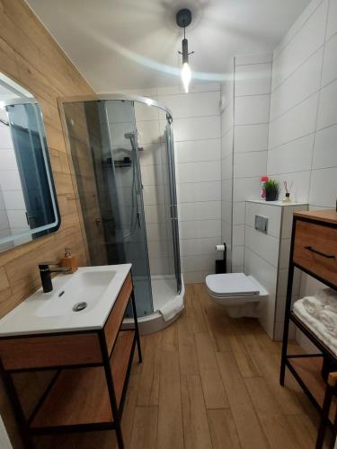 een badkamer met een douche, een wastafel en een toilet bij Apartament Śnieżka in Karpacz