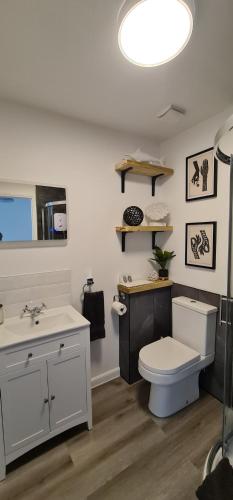 uma casa de banho com um WC branco e um lavatório. em 3 Manor Villas Newquay em Newquay