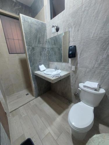 uma casa de banho com um WC e um lavatório em POSADA GUADALUPE Habitación sencilla #116 em Aguascalientes