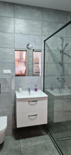 y baño con lavabo, ducha y aseo. en Apartament Słoneczny en Kostrzyn nad Odrą